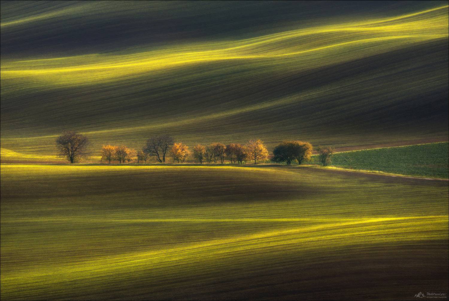 чехия, южная моравия, линии, свет, czech, south moravia, фототур, фототуры, Влад Соколовский