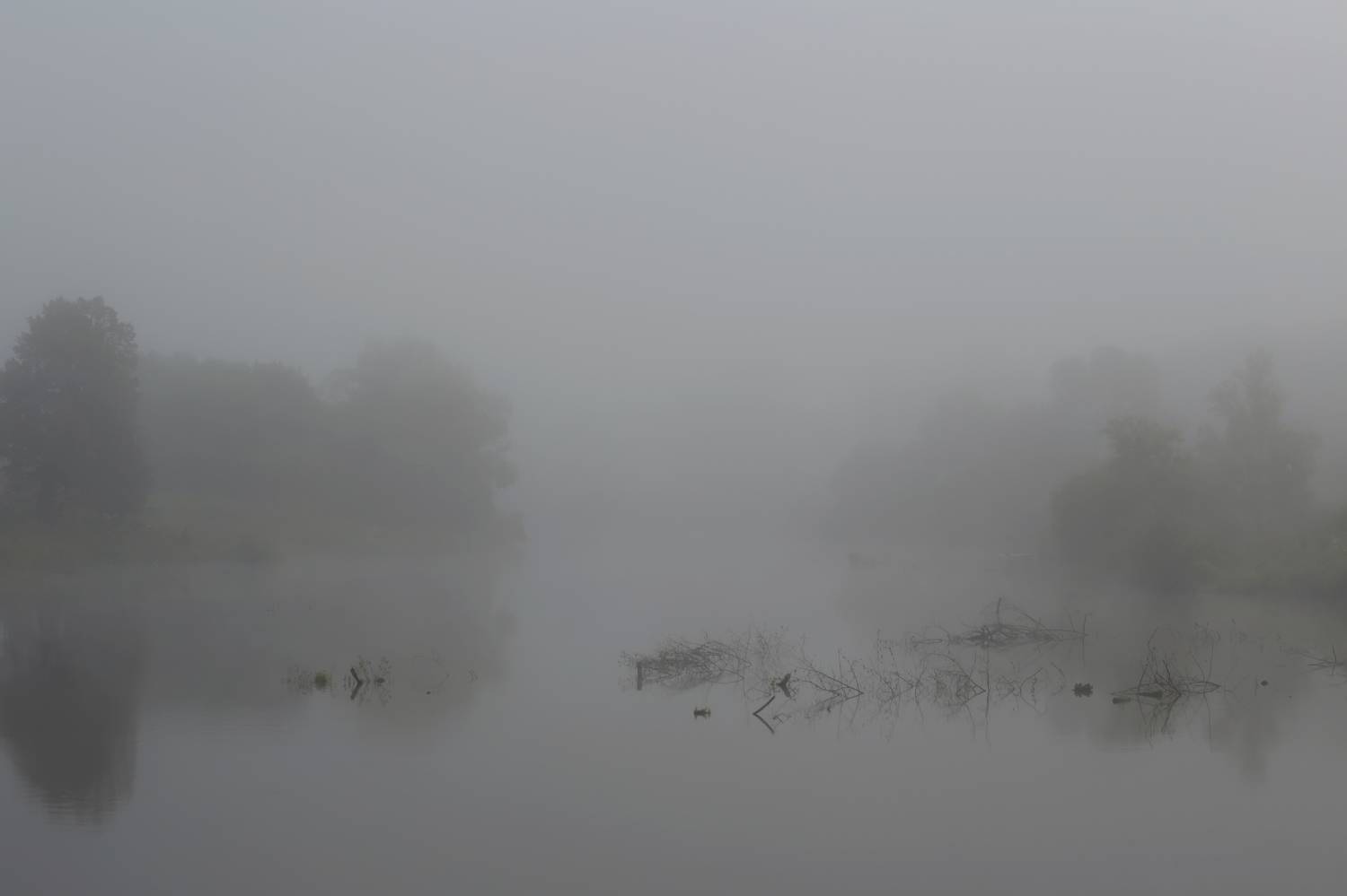 пейзаж, вода, пруд, деревья, свет, деревья, Стасов Виталий