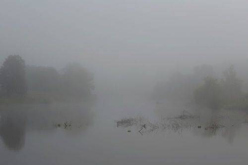 Туманное утро..