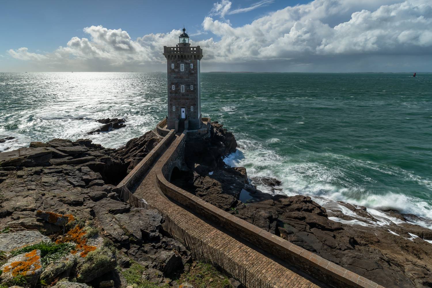 , Евгения Чех