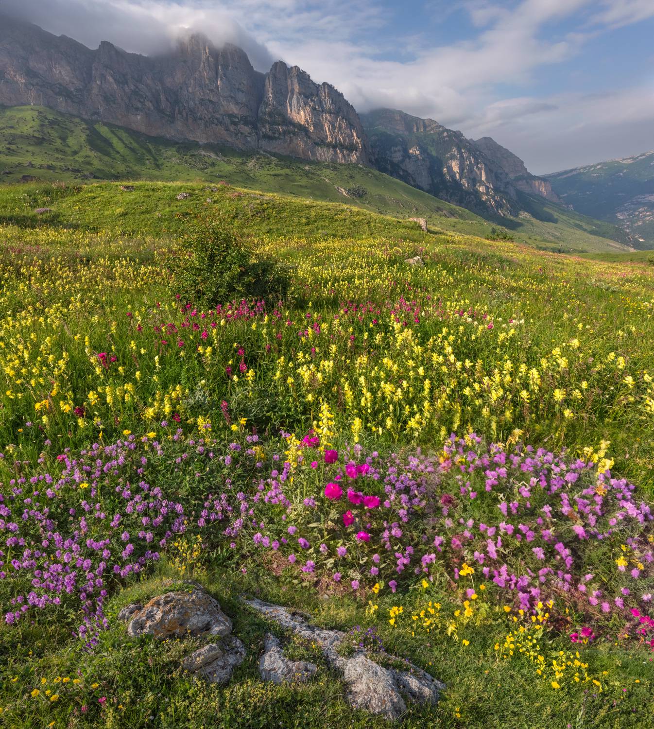 Фототуры с Владимиром Рябковым, #topnature #russpasibo #magic_shots #lovelyRussia #sunset_vision #exclusive_sky  #exclusive_shots #loves_russia2 #photoarena_nature #nature_sultans #nature_perfection #rsa_sky #rsa_sunset #photorussia #rsa_naturepics #sunse, Владимир Рябков