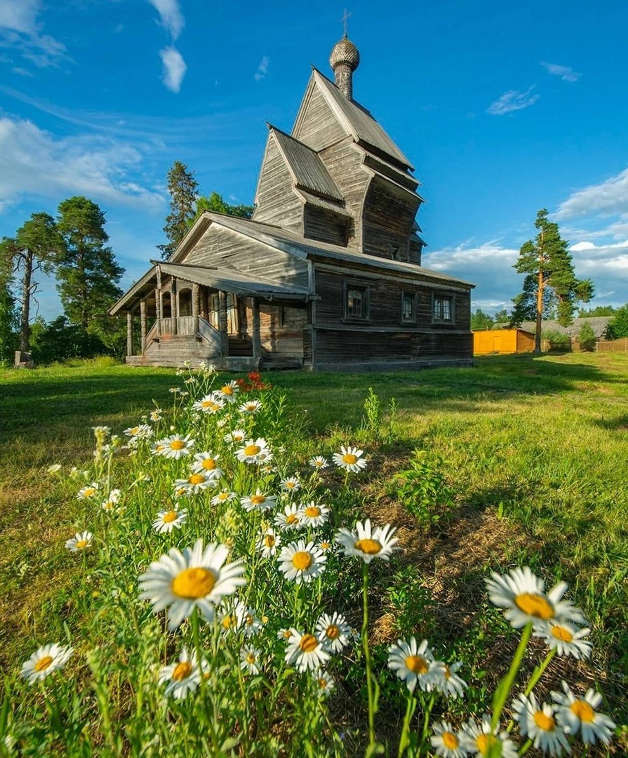 , Петр Косых