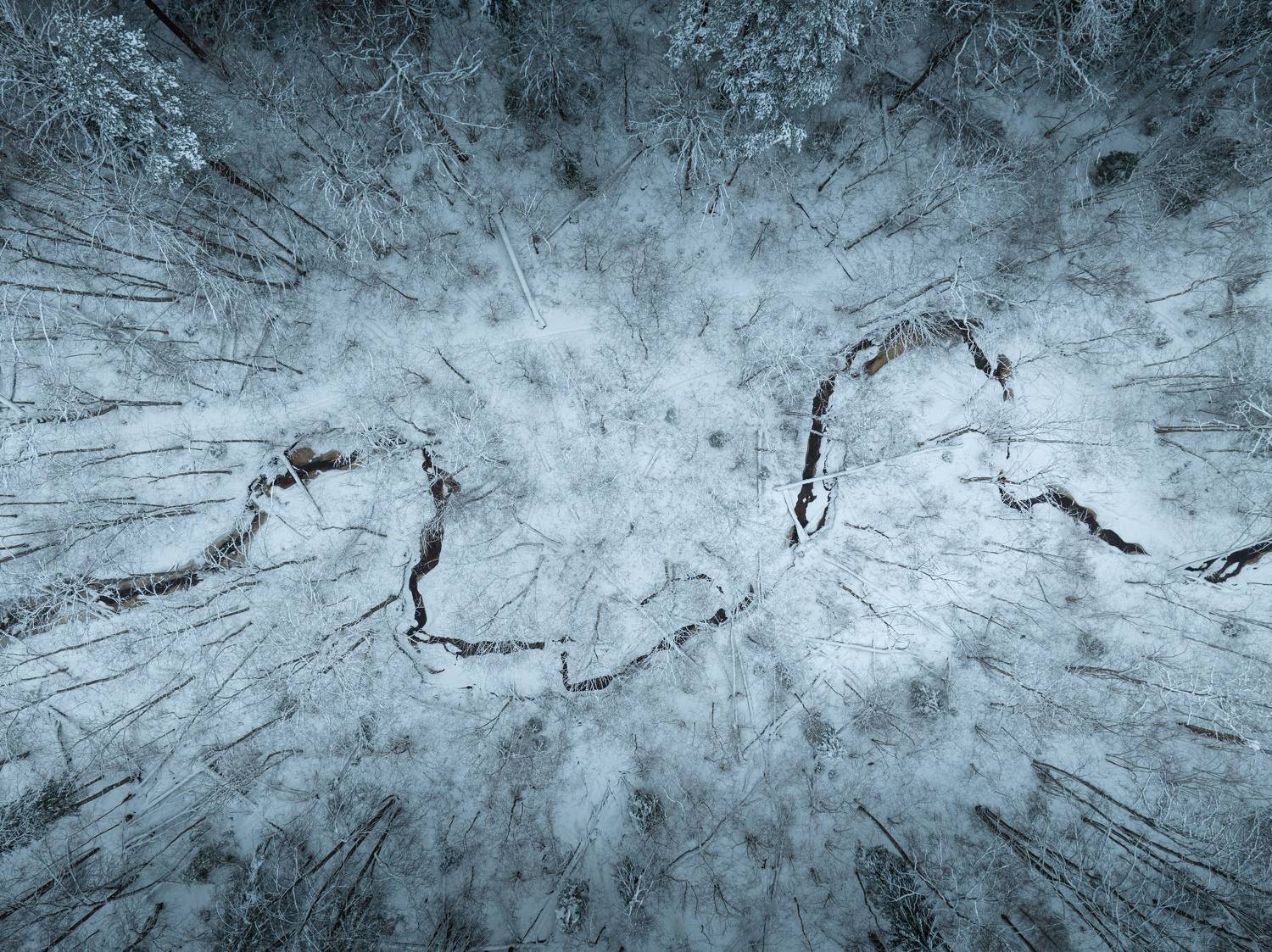 , Гордон Николай