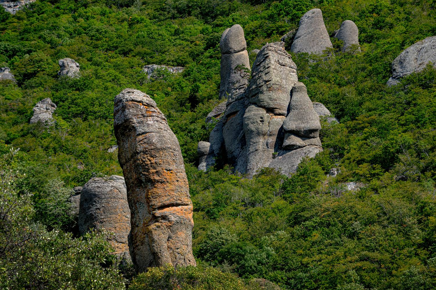 , Владимир Ноздрачев