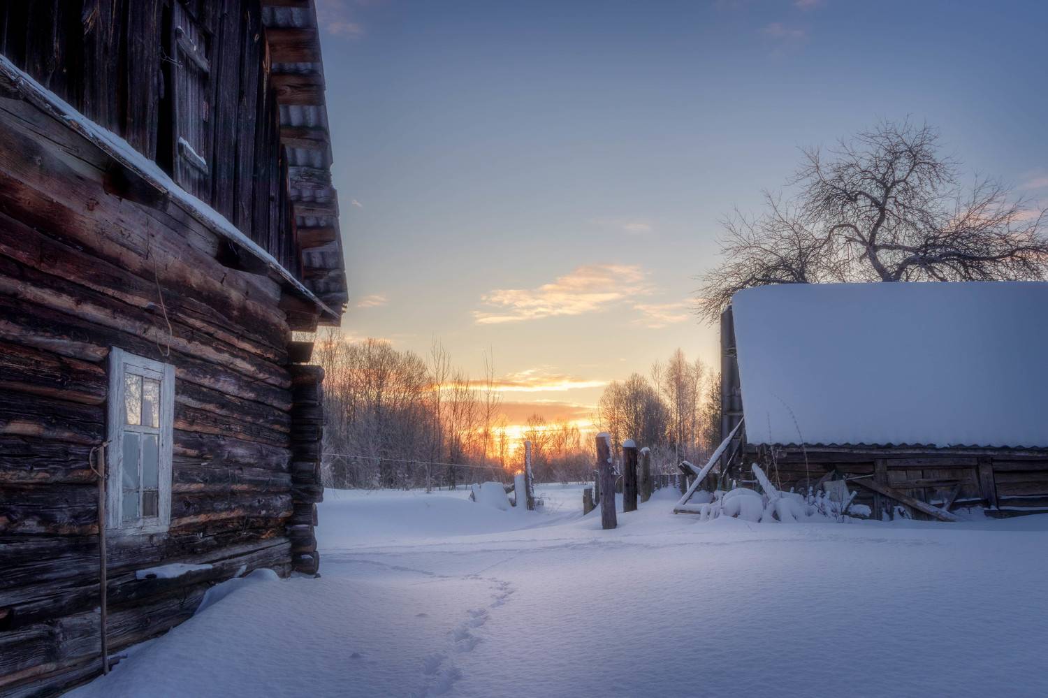 , Сережа Сережин