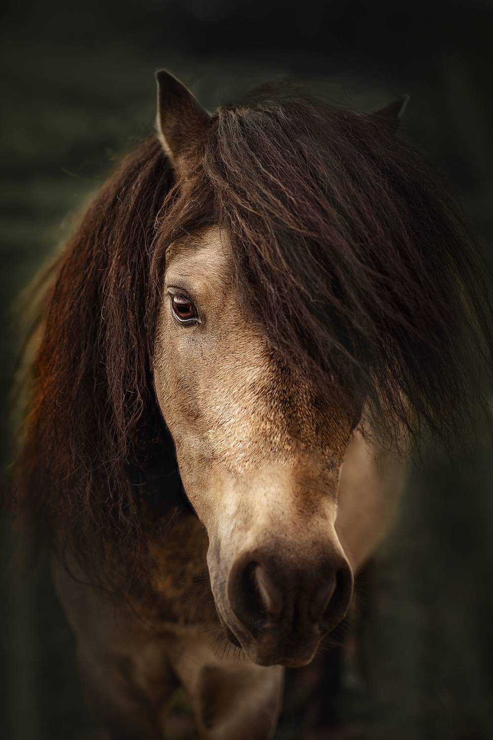 , Рымакова Арина