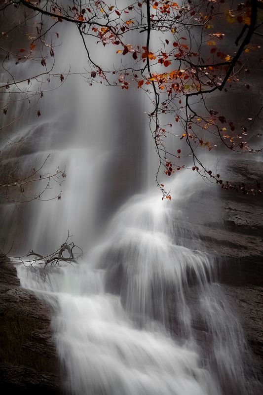 Uguna. фото превью