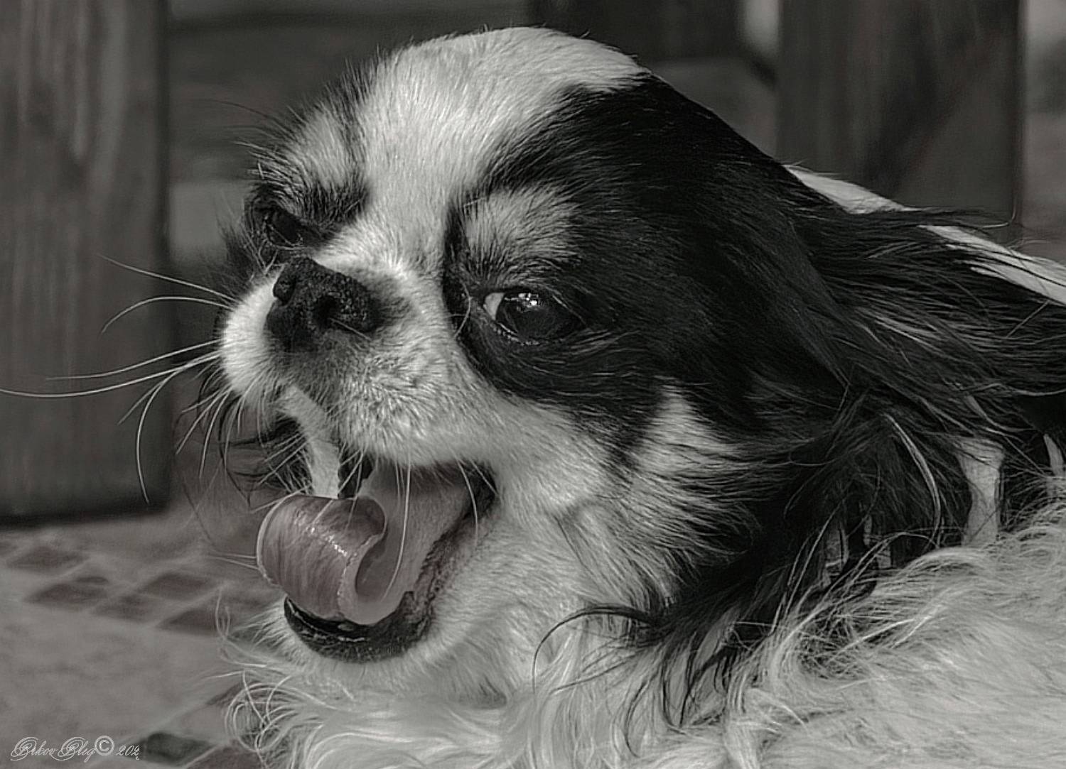 , Орлов Олег