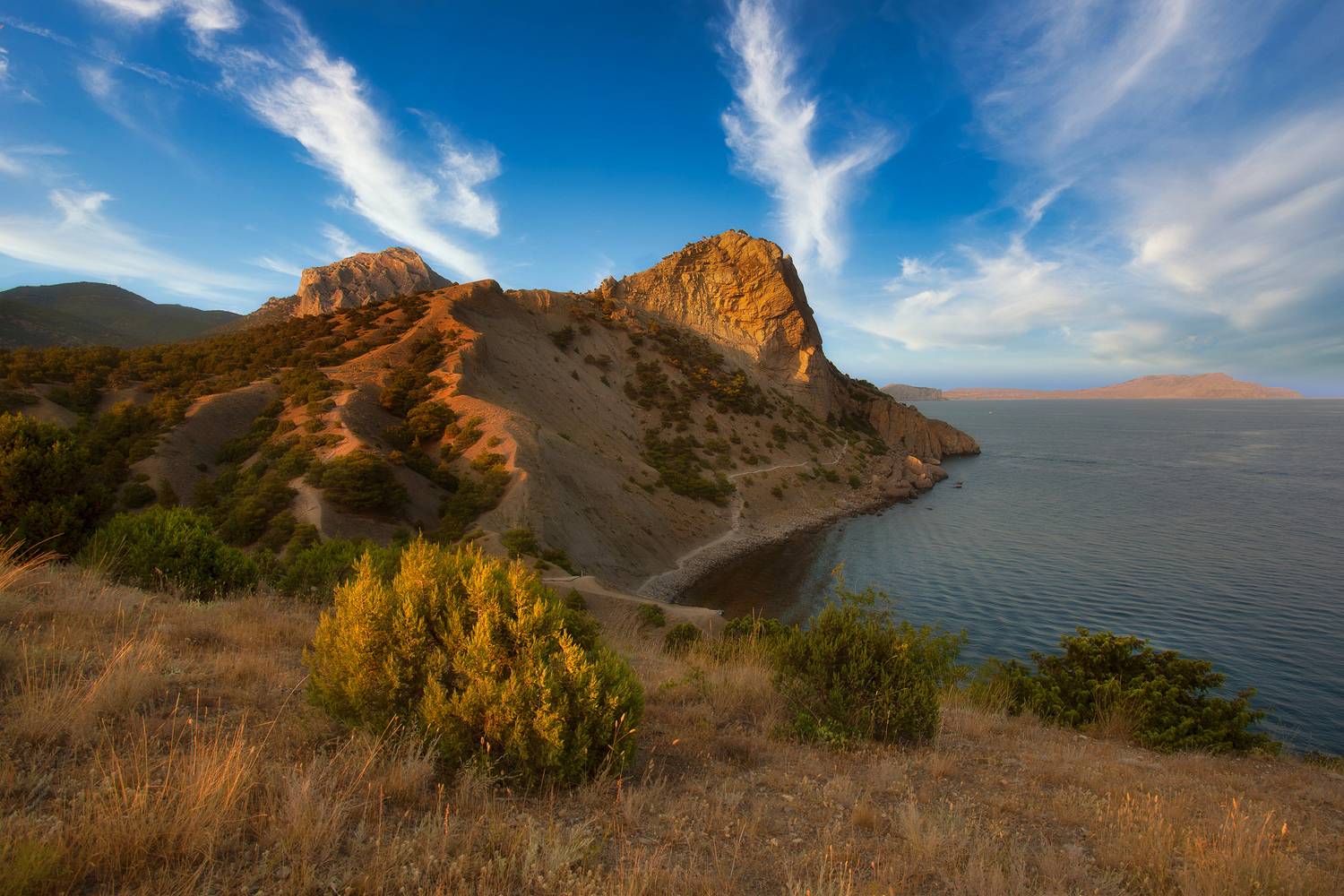 , Аседач Александр