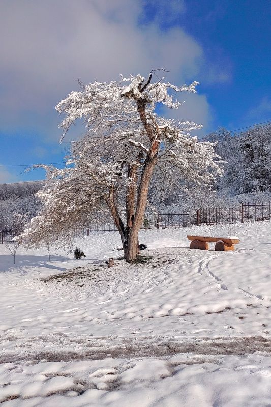 *** фото превью