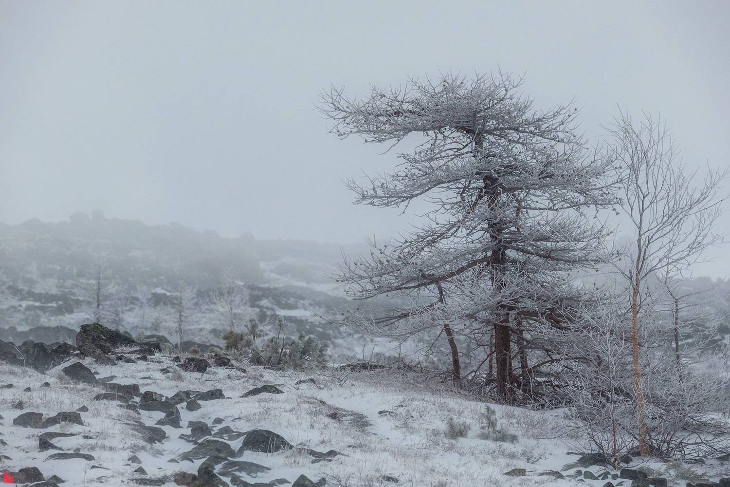 серебрянский камень, урал, скалы, снег, Осипов Ёжъ Александр