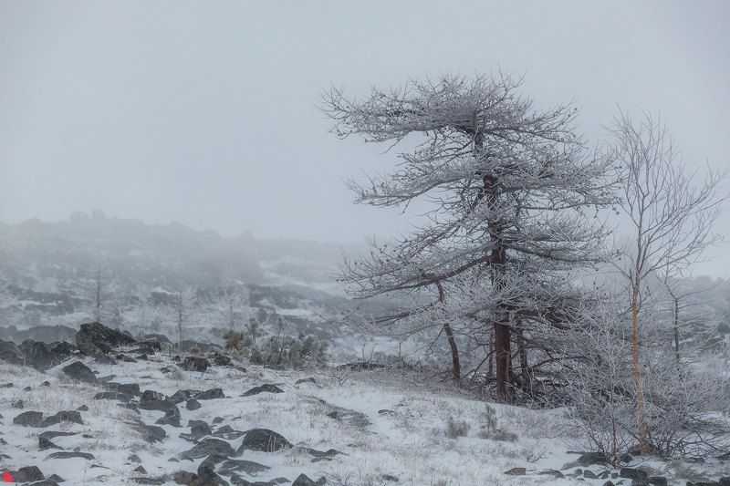 серебрянский камень, урал, скалы, снег Черно-белый мир фото превью