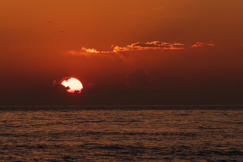 Сиюминутность уходящего дня. фото превью