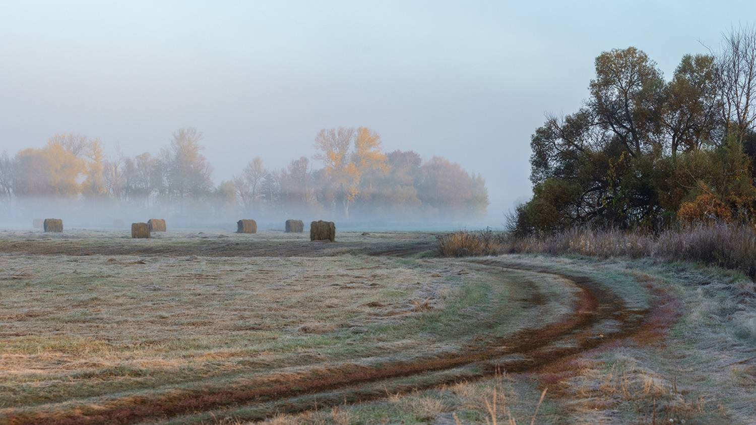 ***, Влад Шерман