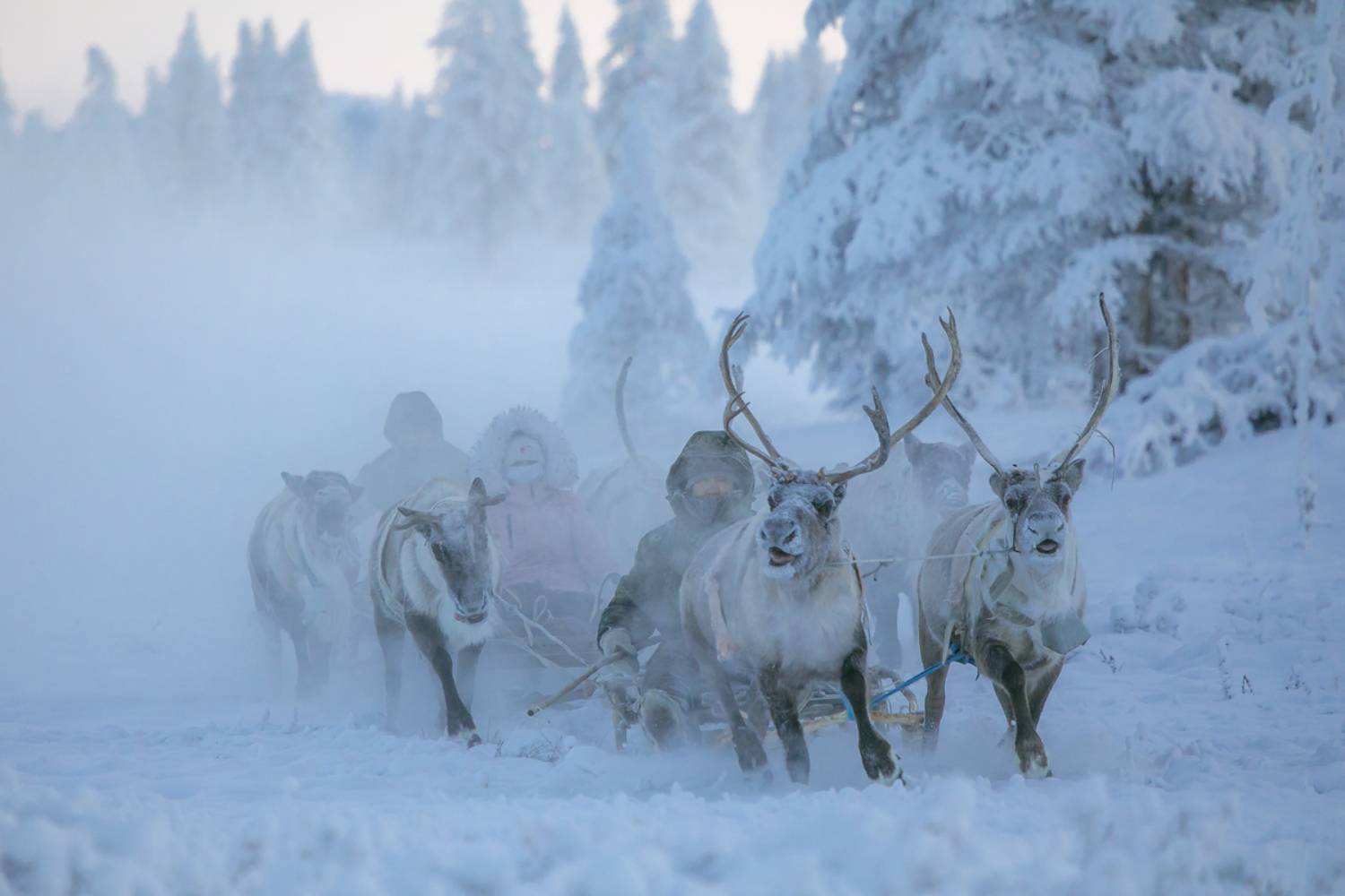 , Михаил Потапов