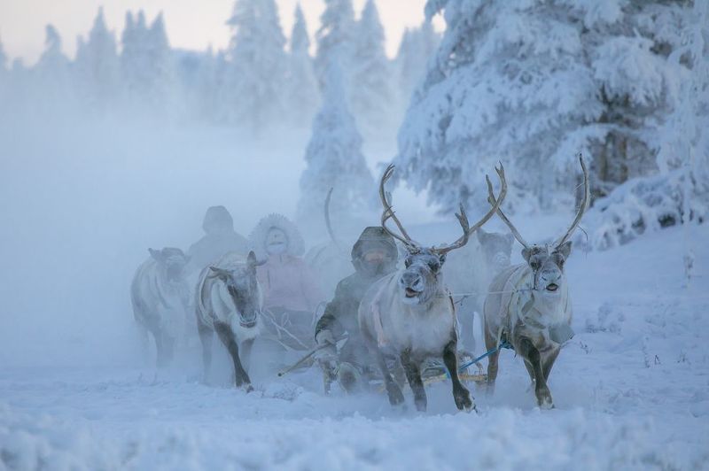 Быт эвенов в Якутии фото превью