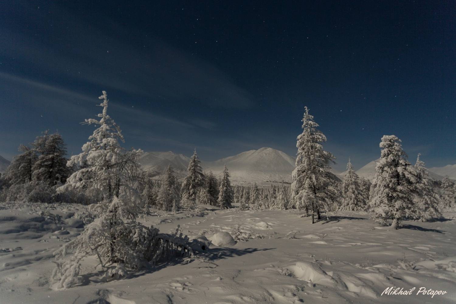 , Михаил Потапов