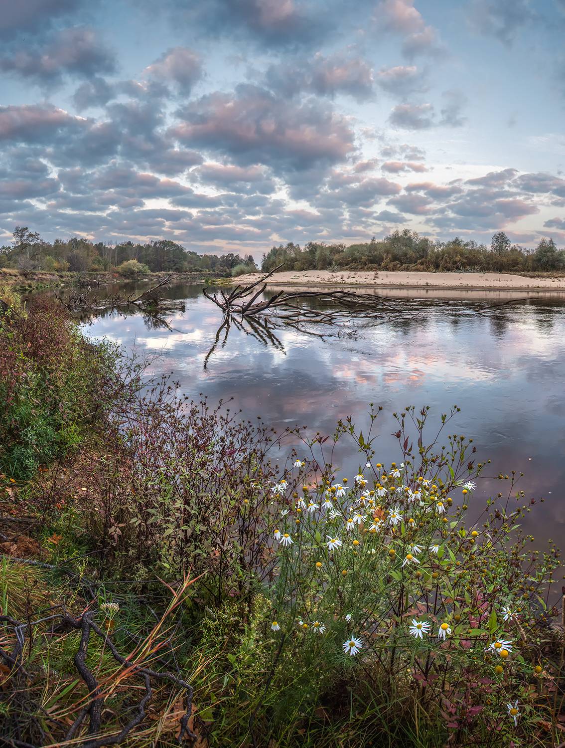 , Андреев Николай