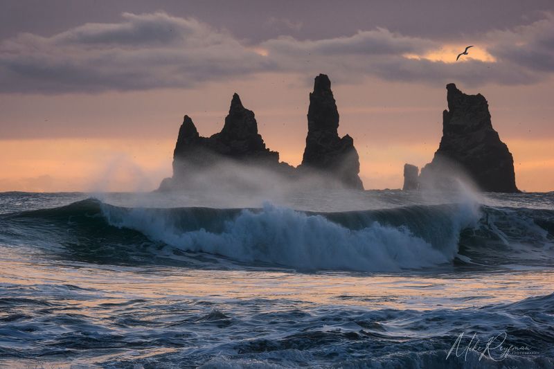 The Power фото превью