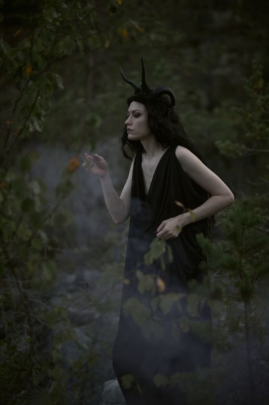 Мох фото превью