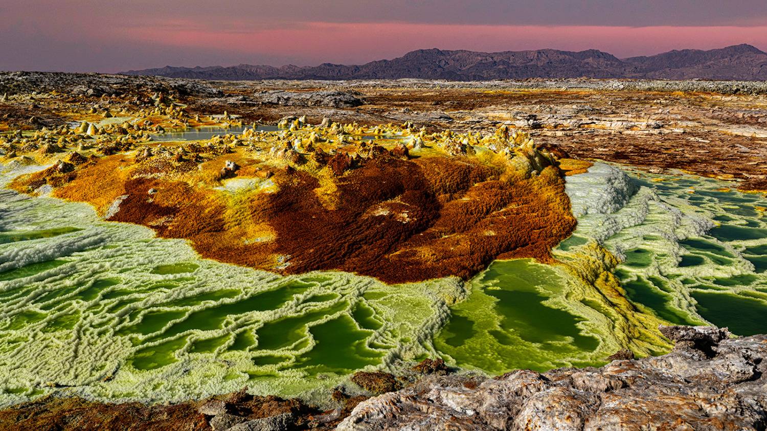 , Антипов Игорь