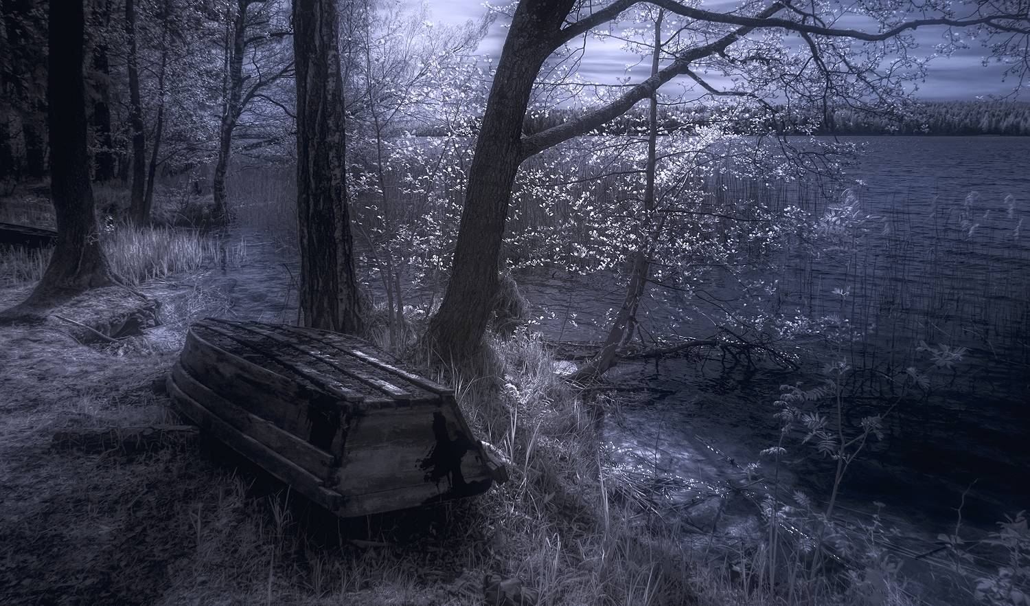 infrared,ик-фото,инфракрасное фото, инфракрасная фотография, пейзаж, весна,  Sixten (Сергей)