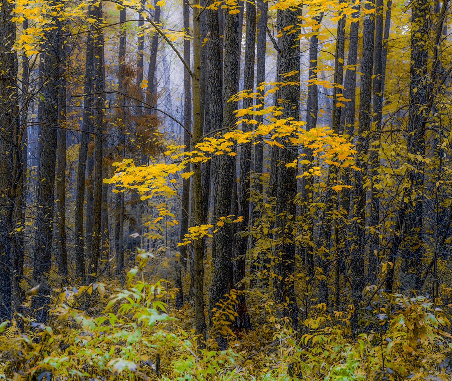 ,  александр михайлов