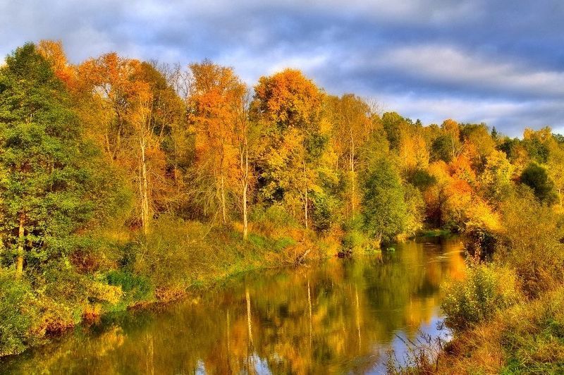 природа осень река лес облака Осенние контрасты фото превью