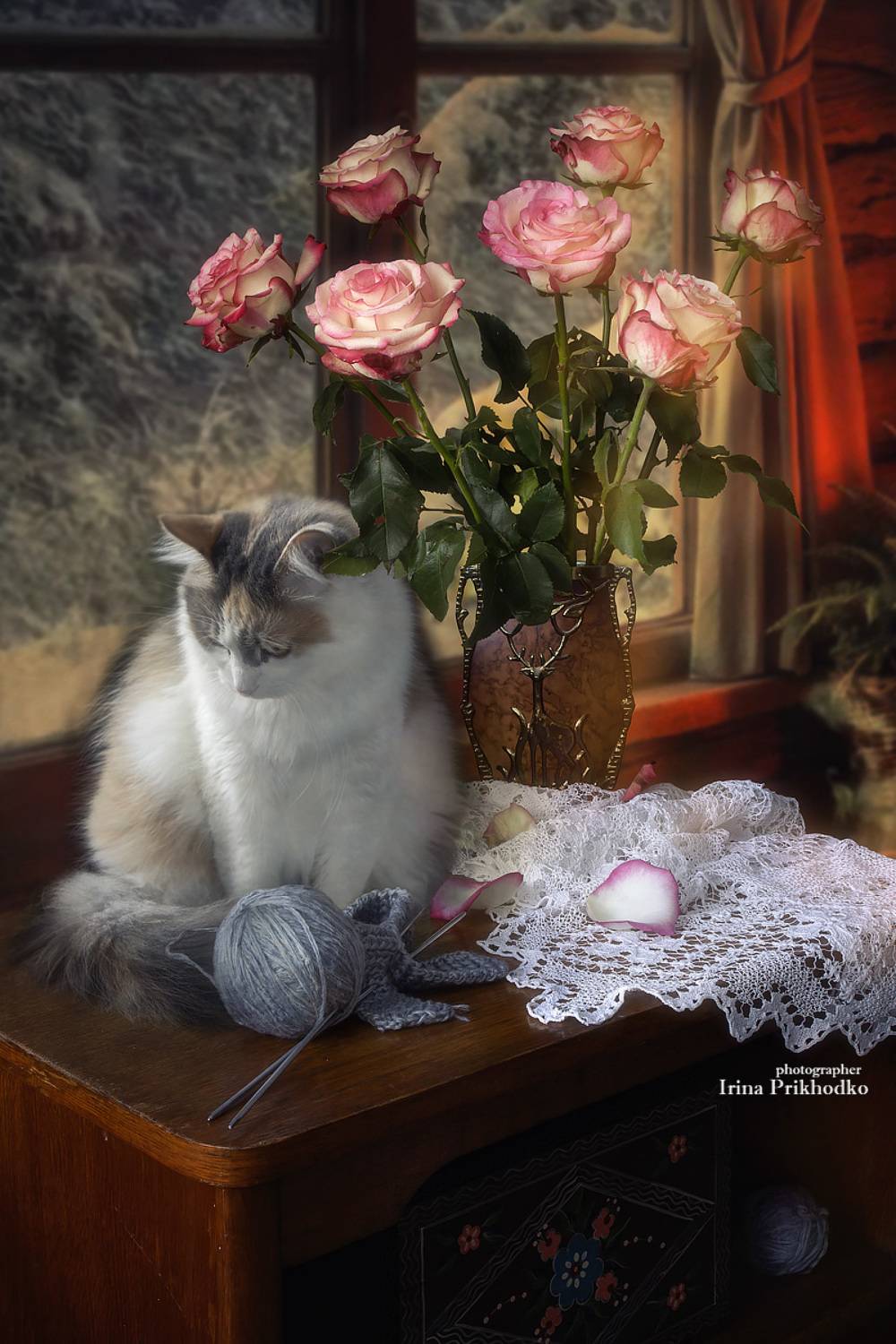 натюрморт, зима, кошка, домашние животные, интерьер, Приходько Ирина
