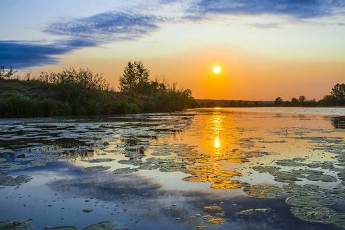 Осеннее утро.