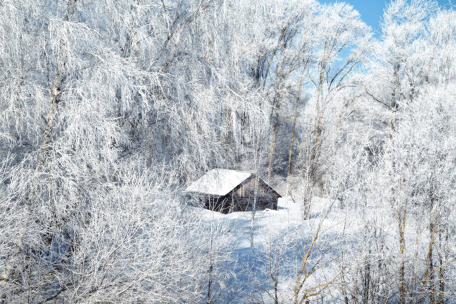 зима, снег, лес, дом, сугробы, Макаров Роман