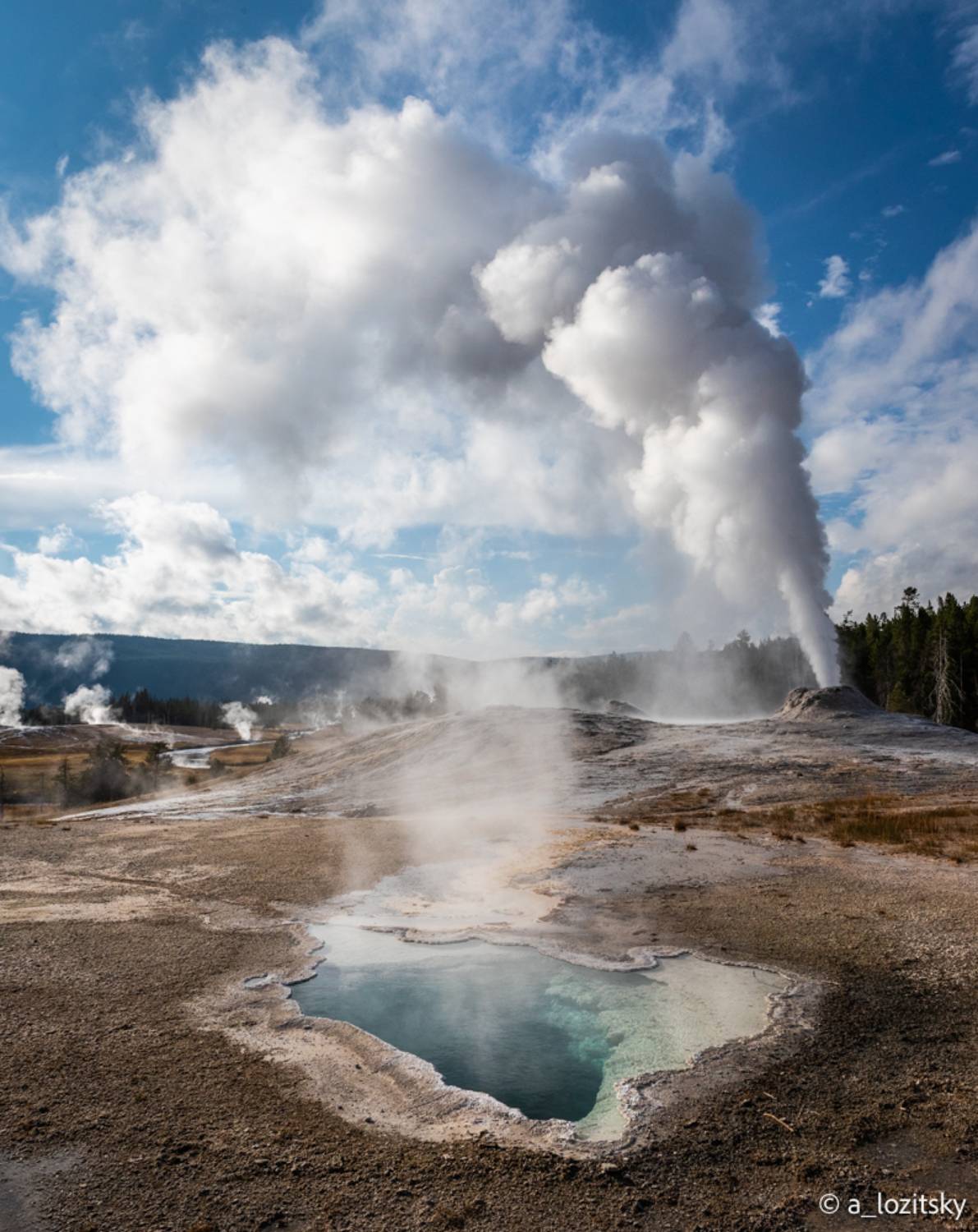 , Лозицкий Александр
