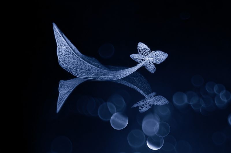 sadness фото превью