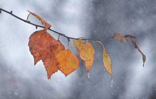 Межсезонье