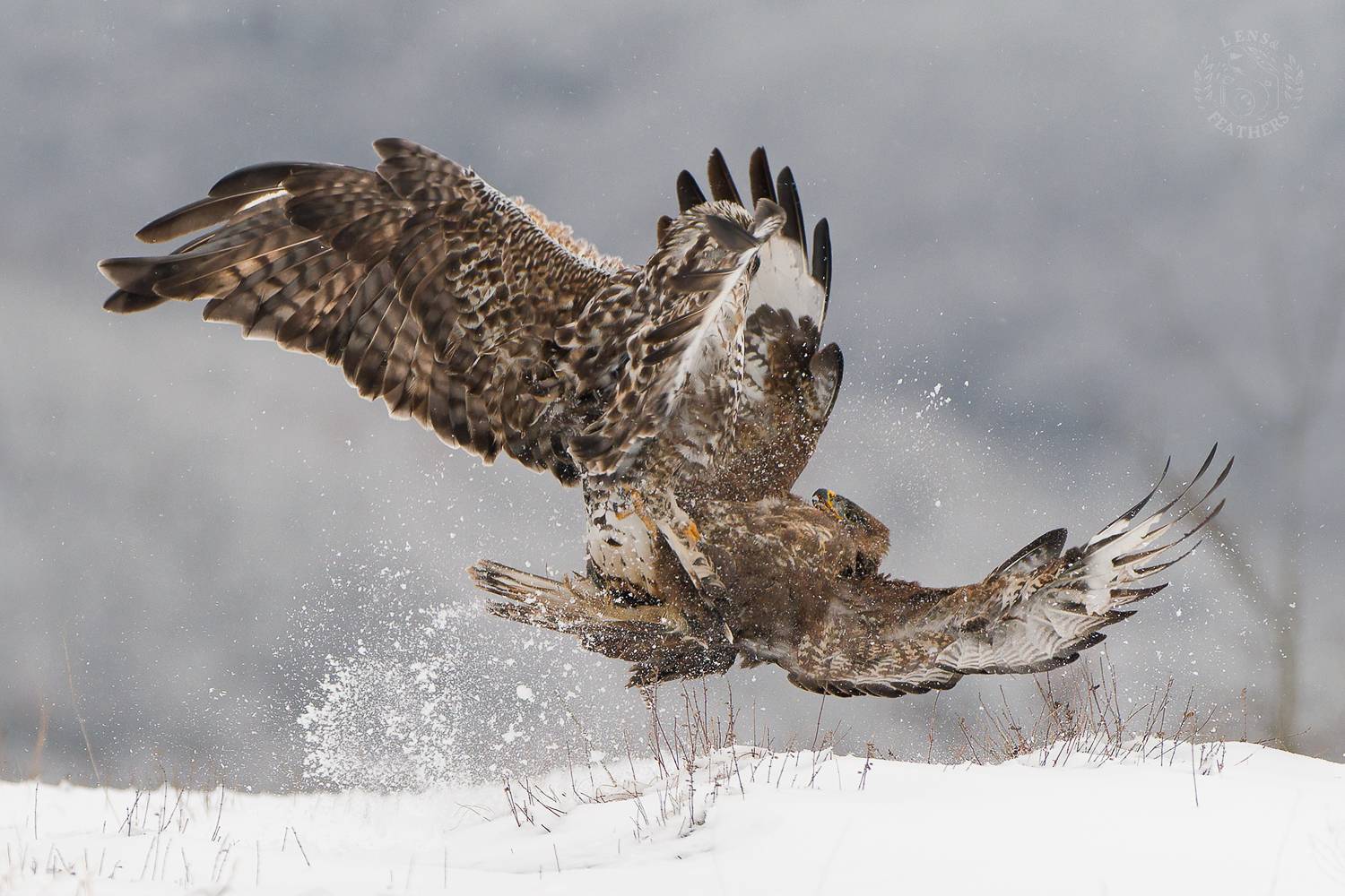 , Евгени Стефанов