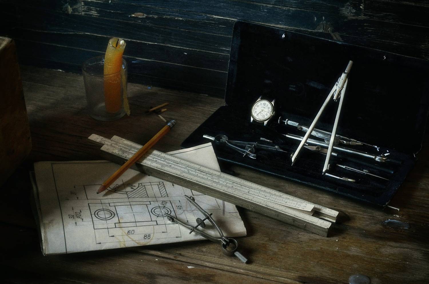 , Ирина Данилова