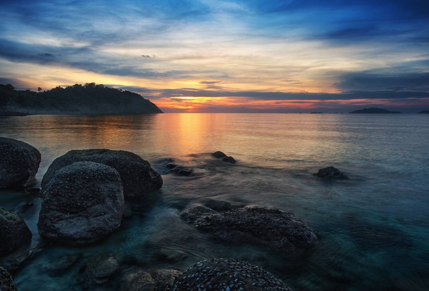 , Толмачев Дмитрий