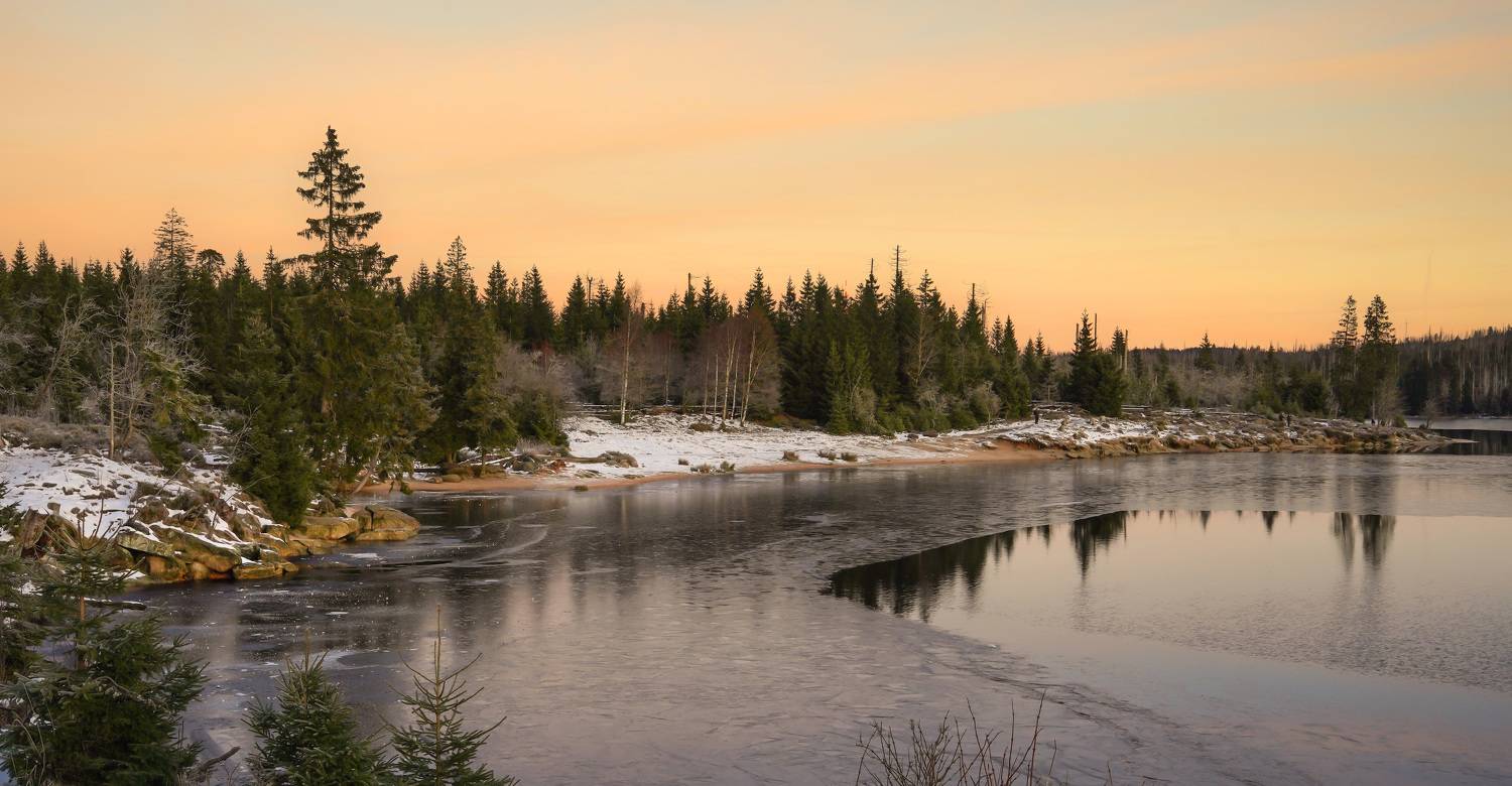 , Игорь Дубровский