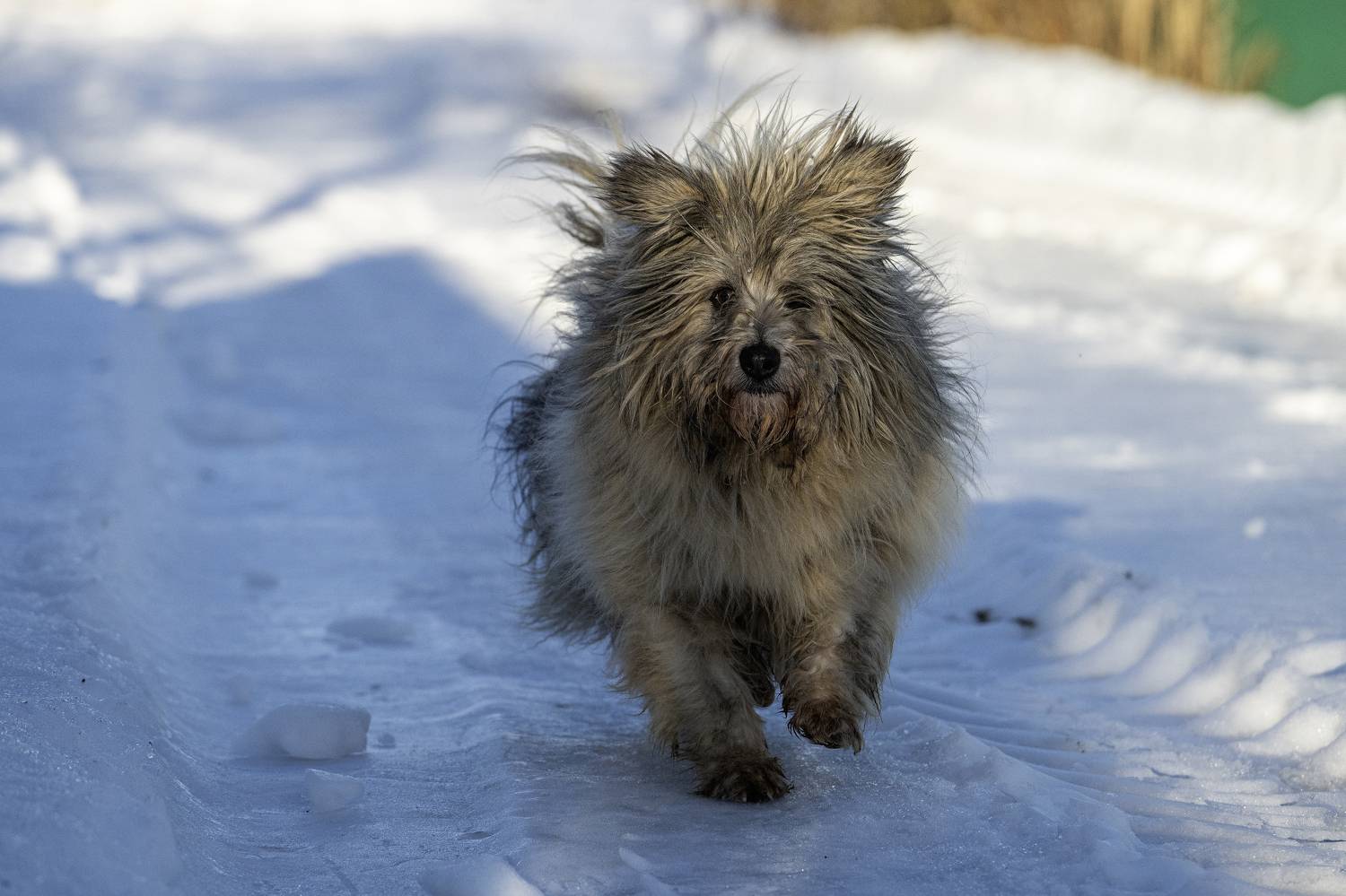 , Кулаков Юрий