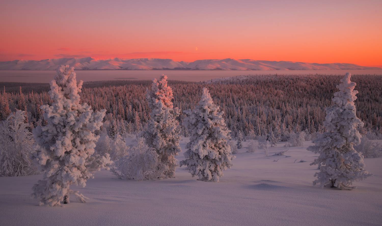 север,кольский,хибины,имандра,апатиты,кировск,луна,рассвет, Истомин Виталий