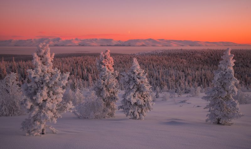 север,кольский,хибины,имандра,апатиты,кировск,луна,рассвет  фото превью