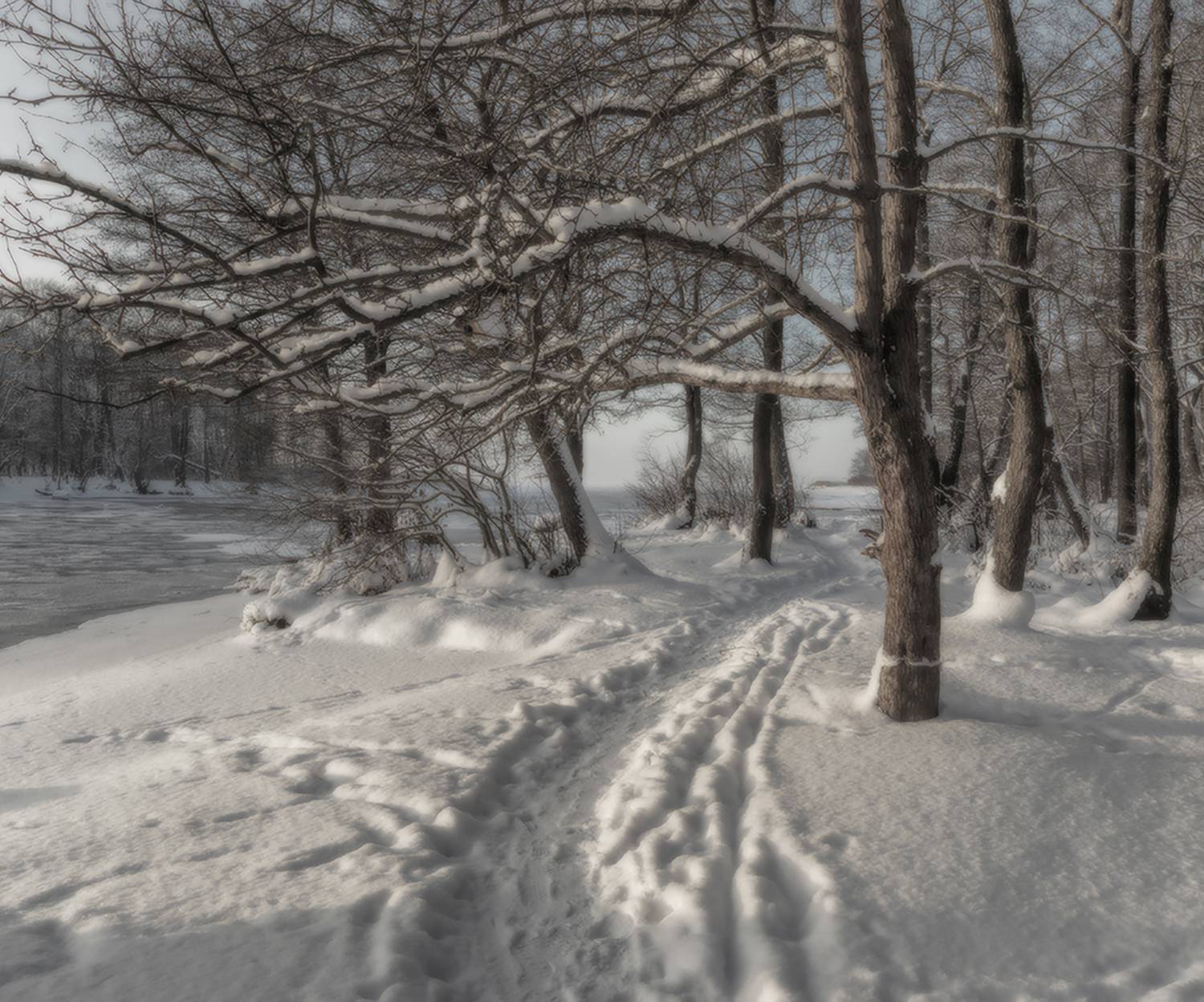 , Александр Смыков