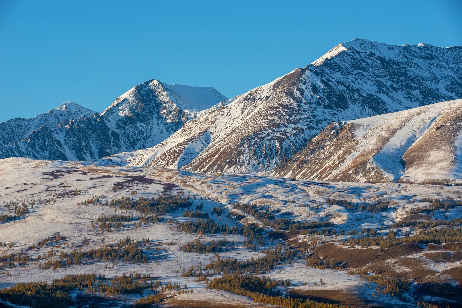 , Рустем Диков