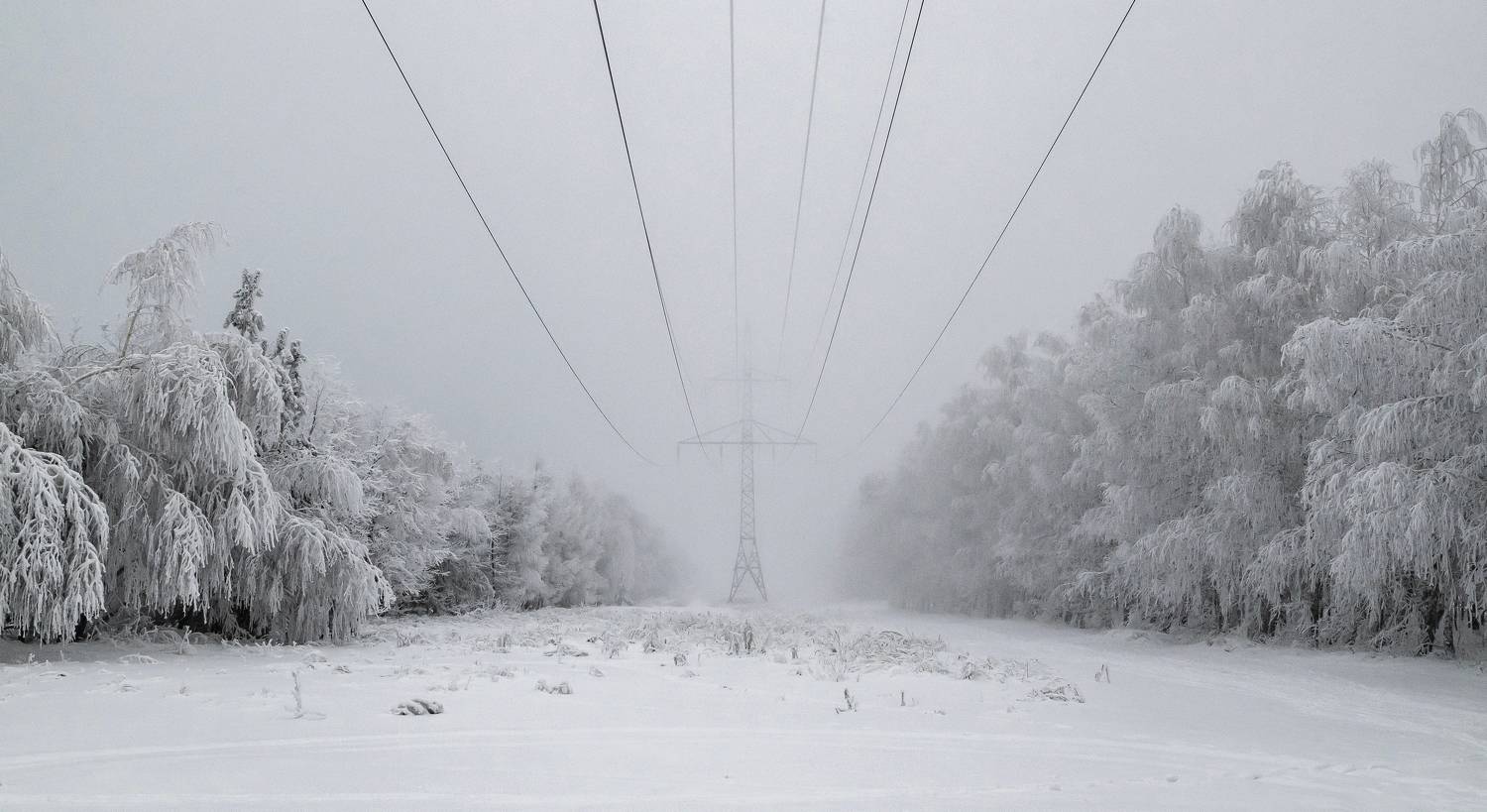 , Подосинников Максим