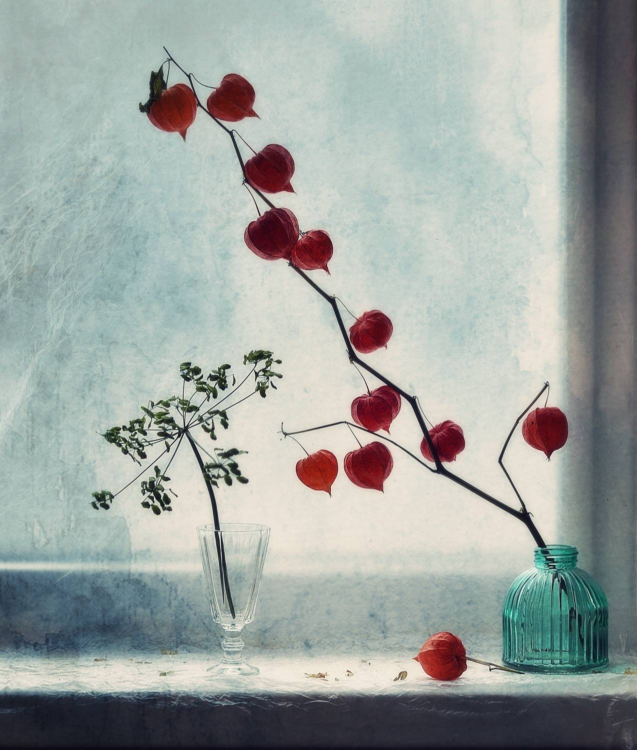 натюрморт,окно,физалис,стекло, Наталия К