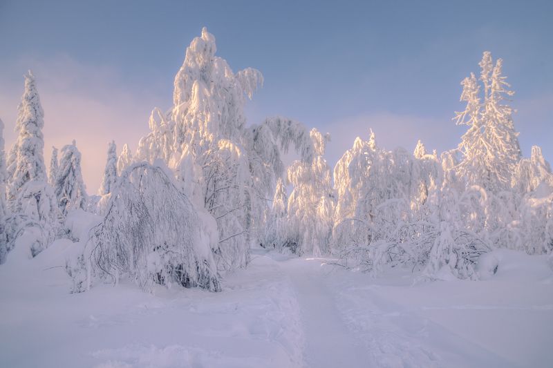 зимний вечер... фото превью