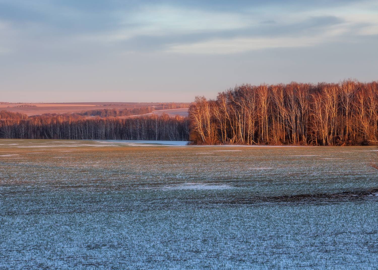 природа, Тульская область, пейзаж, закат, закат в полях, пейзажная фотография, Мартыненко Дмитрий