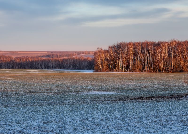 природа, Тульская область, пейзаж, закат, закат в полях, пейзажная фотография Тульская область фото превью
