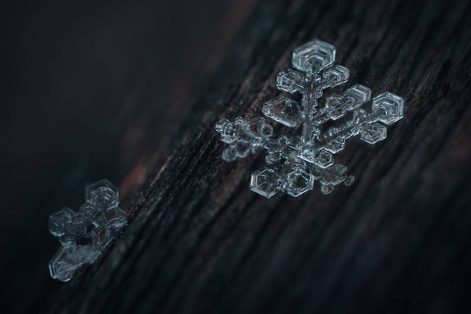 природа, зима, кристаллы, снежинки,, Алёна Сурнина