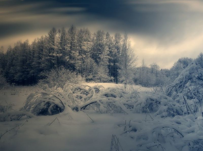 пейзаж, природа, зима, лес, снег, небо, облака Природа Севера I фото превью